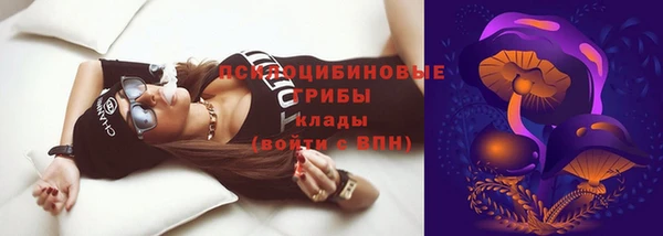 стаф Алексеевка