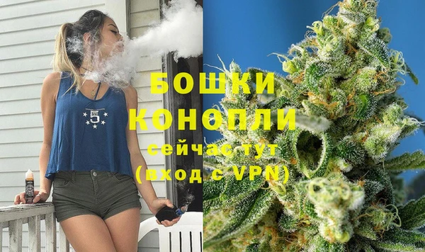 PSILOCYBIN Алзамай