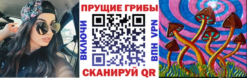Псилоцибиновые грибы Cubensis  Электрогорск 