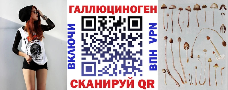 Псилоцибиновые грибы Psilocybine cubensis Электрогорск