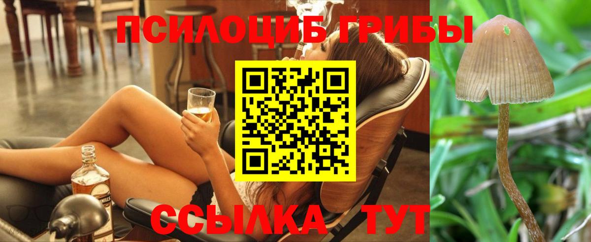 Электрогорск  Псилоцибиновые грибы GOLDEN TEACHER  Вход с VPN 